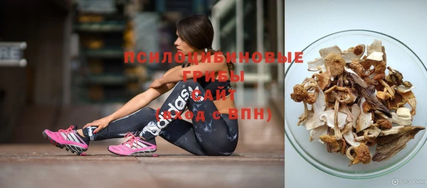 прущие крисы Богородск