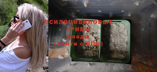 бутират Богородицк
