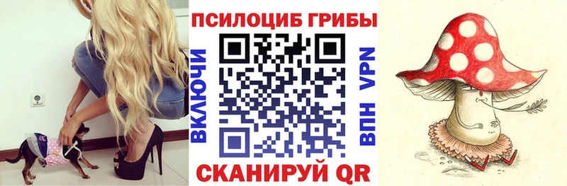 Галлюциногенные грибы мицелий  купить наркоту  Невель 
